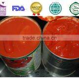 Top Quality Peeled Tomato thumbnail-1