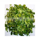 Moringa Leaves Suppliers
