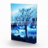 Screen Printed Solid Clear Funny Acrylic Funia Photo Frame thumbnail-1