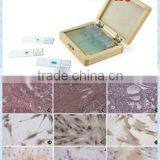 Medical Parasitological Prepard Slides Amoeba Section Set thumbnail-1