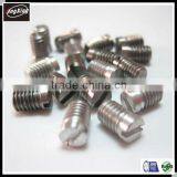 Customized Stainless Steel Slot Set Screw,no Head Set Screw thumbnail-1