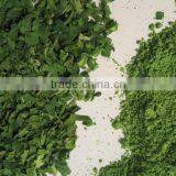 China Import Direct Spinach Extract Latest Products in Market thumbnail-4