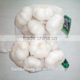 Certificated GAP/HALAL Pure White Garlic