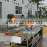 Spray Type Fruit/Melons/Vegetable Washing Machine With Roller Brushes thumbnail-3