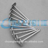 Galvanized Umbrella Roofing Nails With Plain Shank 2-1/2" thumbnail-3