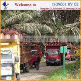 Plam Oil Making Machine thumbnail-6
