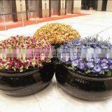 Fiber Glass Reinforced Plastic Flowerpot thumbnail-1