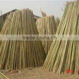 Fencing Raw Bamboo Cane Poles