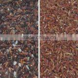 2016 Most Popular Rice CCD Color Sorter Machine / Sticky Rice Color Sorter thumbnail-5