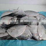Frozen Moon Fish China Supplier thumbnail-1