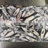 Wholesale 100g Whole Round BQF Block Frozen Loligo From China thumbnail-3