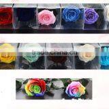 Fresh Preserved Flowers Roses With Long Stem In Gift thumbnail-4
