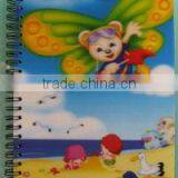 Cute 3D Cover Exercise Book