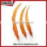 Dyed Color Big Long Natural Grizzly Rooster Feathers for Sale thumbnail-4