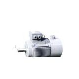YVF Series Three-Phase Frequency Conversion Variable Speed Motor