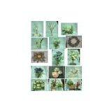 Artificial Flower thumbnail-1