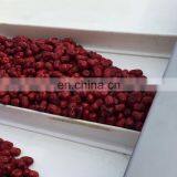 Fruit Vegetable Cleaning Equipment Electric Pressure Washer Machine With Water Circulation System thumbnail-1