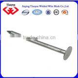 Hot Sell Common Iron Nails(15 Years Factory) thumbnail-4