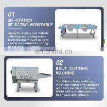 Automatic Fruit And Vegetable Salad Cutting Washing Production Line thumbnail-2