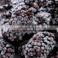 Healthy Taste Good Frozen Mulberry Freeze Mulberry thumbnail-4