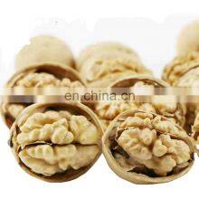 High Quality Organic Walnuts Factory Supplier Organic Walnuts 2022 2023 thumbnail-3