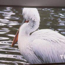 Smart Projecor thumbnail-3