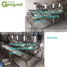 Hot Selling Cheese Plant for Sale thumbnail-2