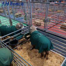 Pasture-Ready Sheep Panel: Pre-Assembled & Lightweight for Immediate Use in Any Grazing Configuration thumbnail-1