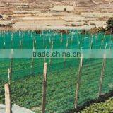 Vineyard Protection Hdpe Agricultural Net / Anti Bird Netting