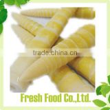 canned bamboo shoot in brine