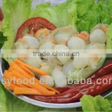 frozen high quality scallop meat