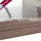 Film Faced Plywood thumbnail-6