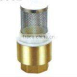 Brass Spring Check Valve With Filter