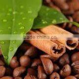 Cinnamon Oil (Cinnamomum Zylanicum) thumbnail-3