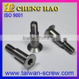 Stainless Steel Bolt Low-Profile Head Machine Screws