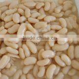 Canned White Beans in Kidney Beans in Brine thumbnail-1