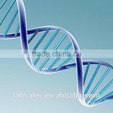 9703 Series PCR Machine Price , PCR Thermal Cycler in China thumbnail-4