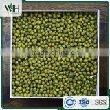 Machine Dressed Green Mung Bean thumbnail-3