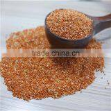 Well Chosen Yellow Millet in Husk thumbnail-1