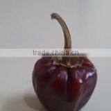 Round Chilli From SouthIndia thumbnail-2