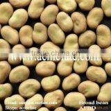 natural broad beans