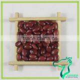 Health Food Natural Low Price Small Red Kidney Beans For Sprouting thumbnail-2