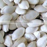 New crop chinese pumpkin seeds for human consumption