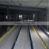 Automatic Poultry Pan Feeding System thumbnail-4