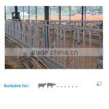 Cattle Farms Cow Head Lock for Locking Animal thumbnail-2