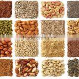 Newly Designed Peanut Oil Extraction, Walnut Oil Press Machine thumbnail-4