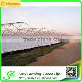 Gutter Height Commercial Polycarbonate Greenhouse for Used thumbnail-3