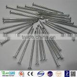 Building Common Wire Nail, Construction Common Nail Iron Nail thumbnail-2
