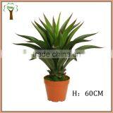 Mini Fake Agave Plant Bonsai thumbnail-1