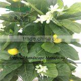 SJZJN 109 High Quality Aritificial Rubber Fruit Tree Made in China Fashion Artificial Tree thumbnail-3